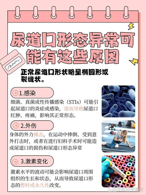 骑士影院2019免费的相关介绍