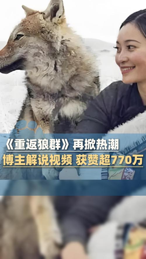 安顺电影院 | 安顺最新电影排期、今日影讯查询、安顺电影院订票选座