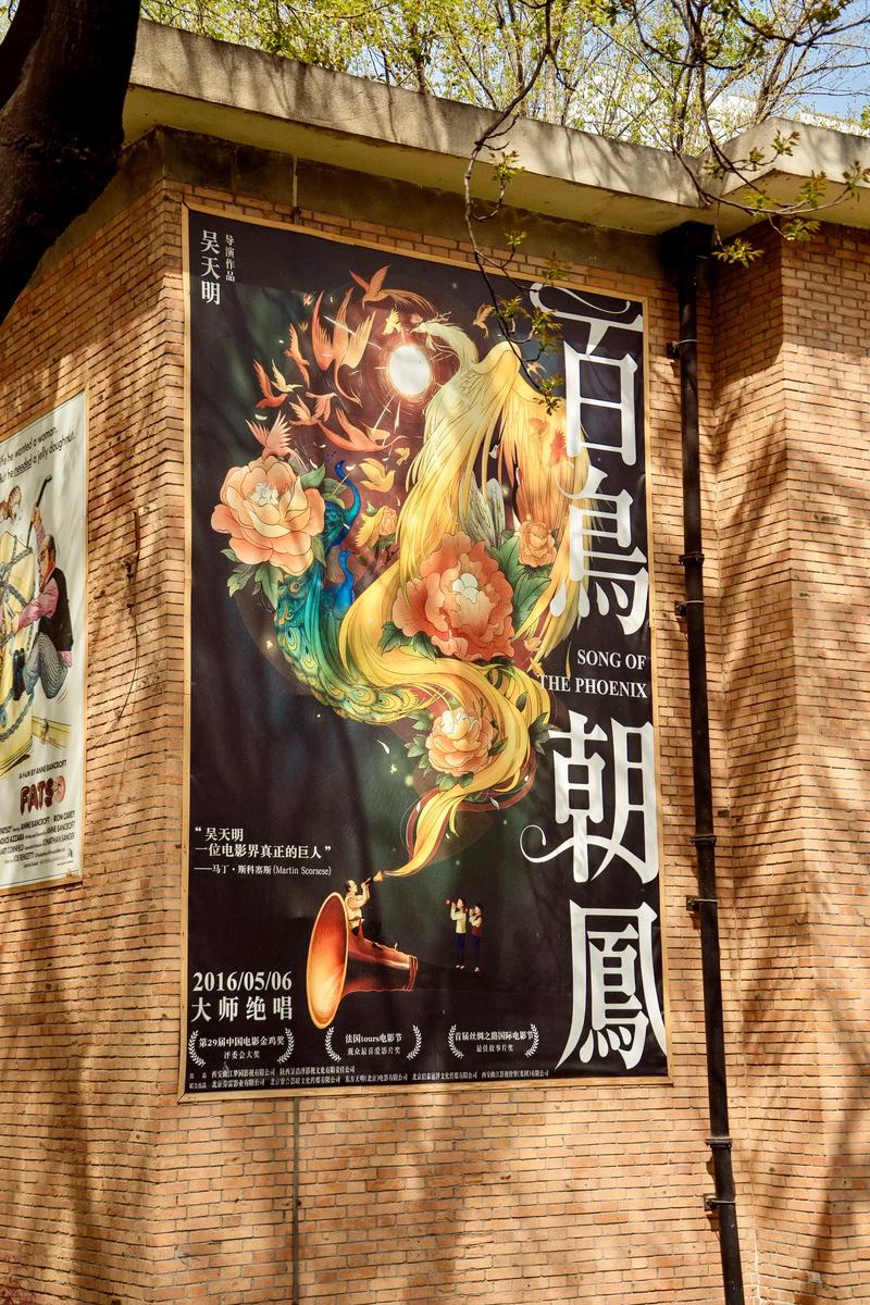 《电影按摩院激情》幕后揭秘：解锁感官体验的沉浸式拍摄手法与情感张力