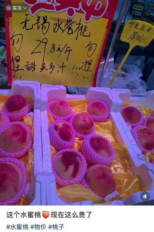 香蕉影院下载最新版2025 | 高清影视资源免费获取指南