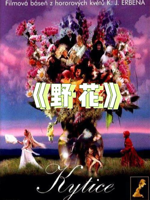 爽爽影院免费观看最新热播剧，海量高清资源在线流畅追剧不卡顿
