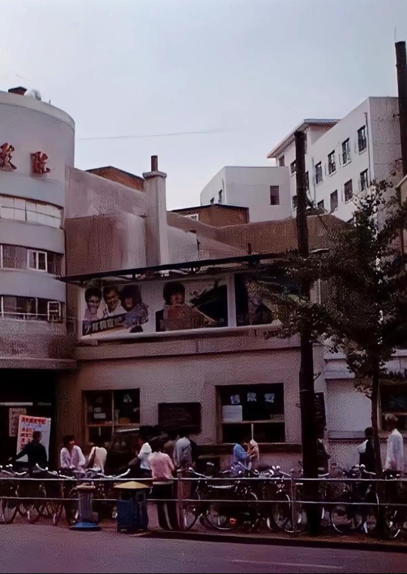 成年女人免费看的的相关介绍