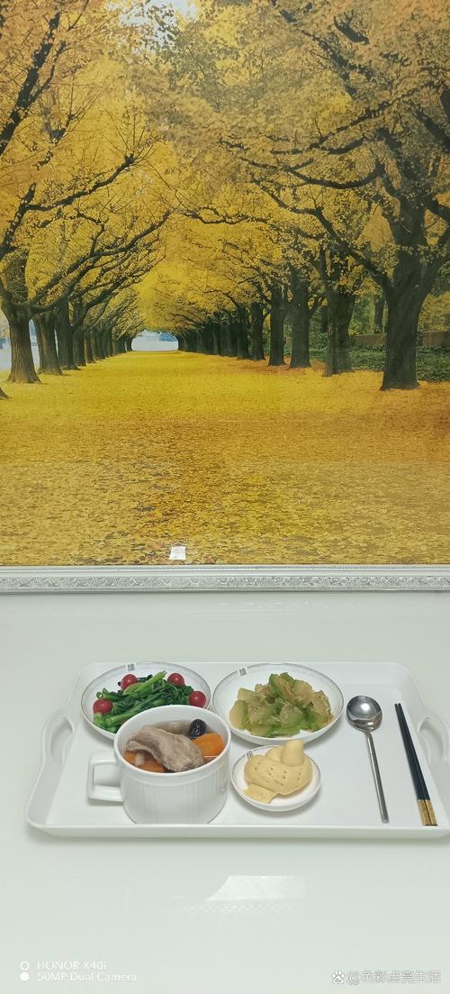 人妻少妇猛烈进的相关介绍