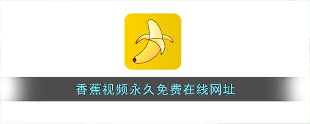 老湿电影院体检区：2024最新观影体验测评与健康观影指南，影院环境舒适度全方位评估