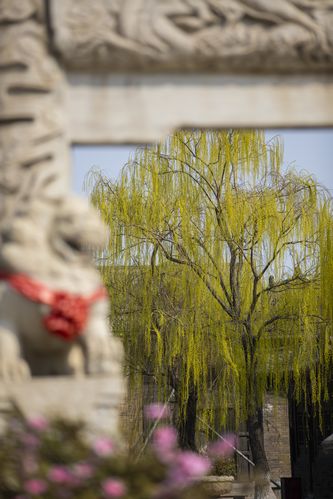 根据《东京精油按摩》3的内容，为您生成的SEO标题如下：

**东京精油按摩3：银座高端日式精油SPA推荐 | 深层舒缓疲劳 | 正宗和风疗愈体验**