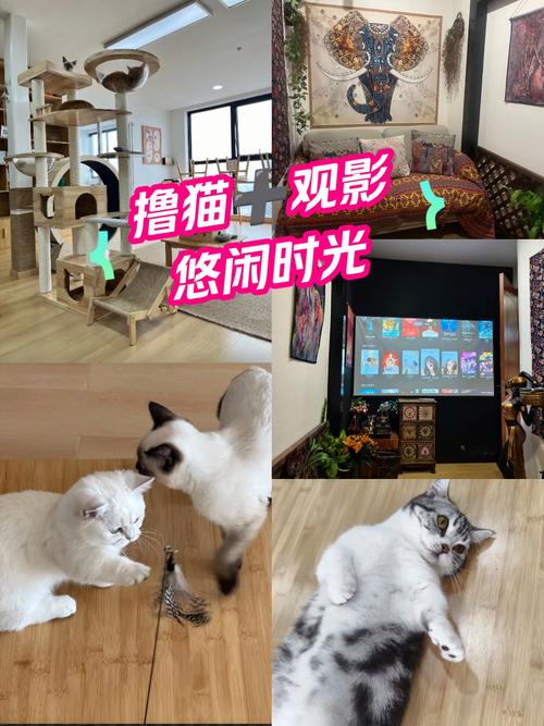 4480青苹果影院《余罪》全集在线观看 | 张一山卧底警匪剧、高能反转剧情、国产高分犯罪悬疑剧