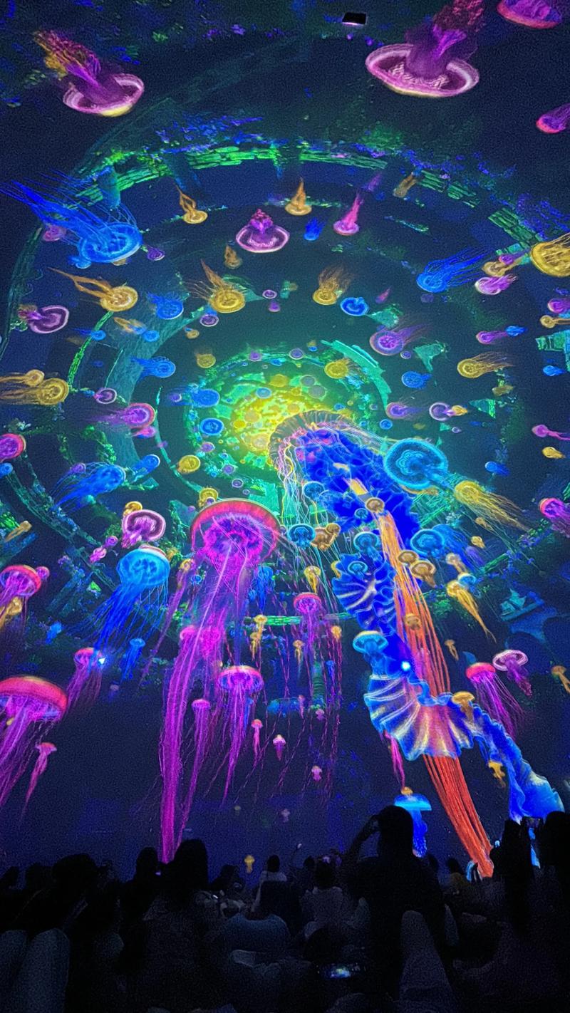 亚瑟在线中文影院 - 最新热门电影在线观看，高清无广告免费追剧平台