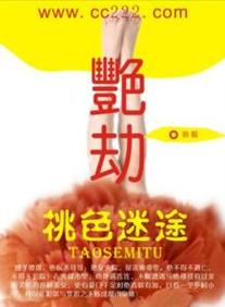 日本波多野的相关介绍