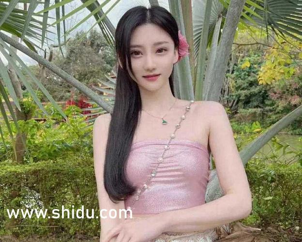 大地影院网的相关介绍