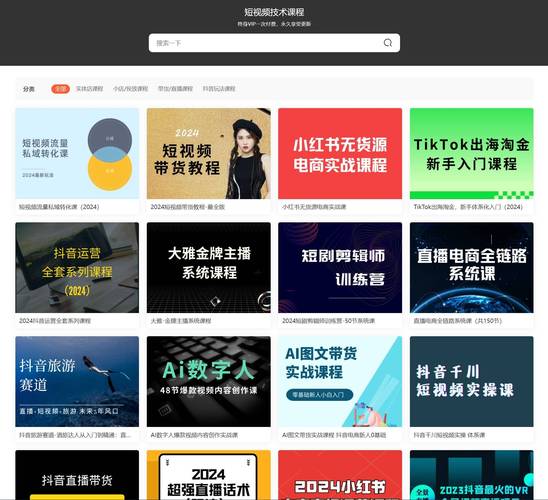 琪琪电影院手机网的相关介绍