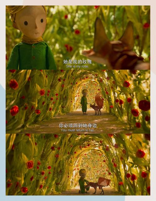 张天爱大尺度写真的相关介绍