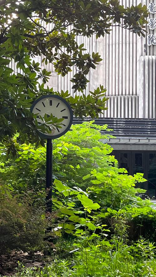 383影院-2025最新热播剧集免费在线观看，高清画质极速播放，每日更新资源